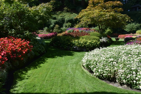 Paysagiste à Toulon : L’Expertise de GV Concept pour un Jardin Durable dans le Var